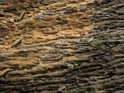 350 steps, one granite dome, and the best panorama in Sequoia National Park: Officials say