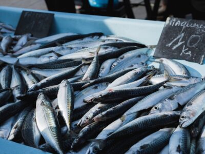 America’s beloved seafood chain sees a dramatic decline from 143 stores to 13: Officials say