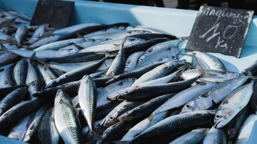 America’s beloved seafood chain sees a dramatic decline from 143 stores to 13: Officials say