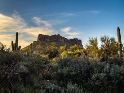 Everyone speeds past this Arizona town to reach Sedona, and misses a river oasis: According to reports