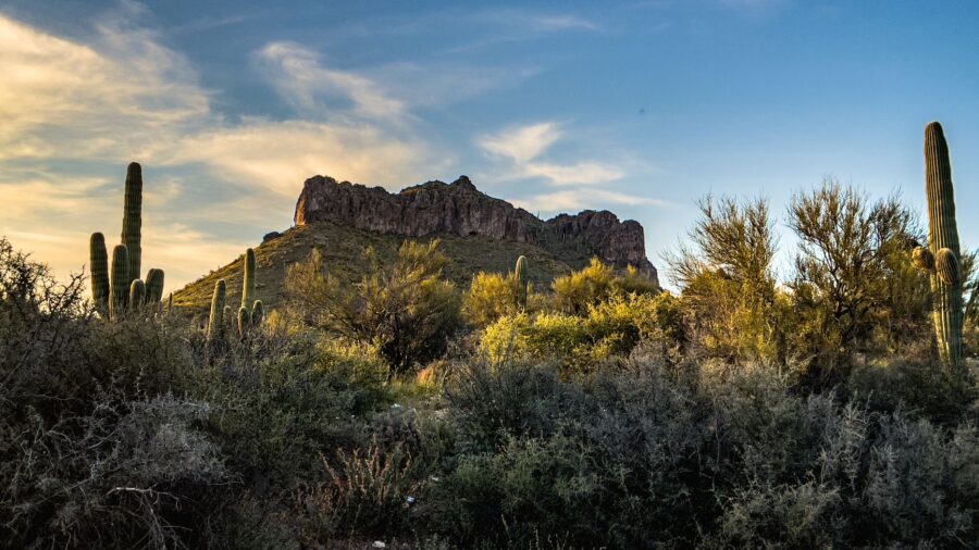 Everyone speeds past this Arizona town to reach Sedona, and misses a river oasis: According to reports