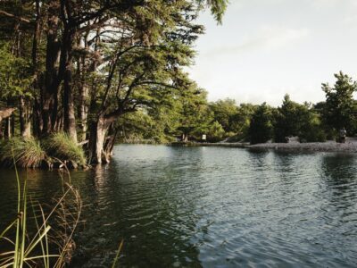Hemphill, Texas guards 160,000 acres of pine woods nobody talks about: Here’s what to know