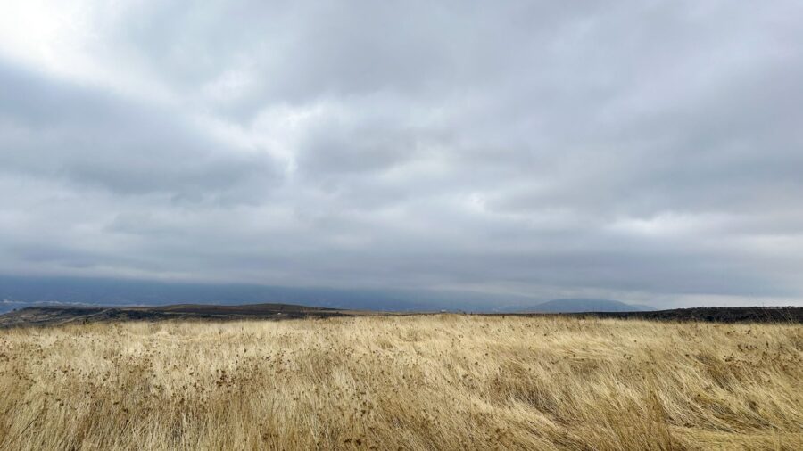 Indiana quietly rebuilt a prairie the size of a small city, then let bison loose on it: Officials say